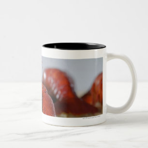 Caneca De Café Em Dois Tons Fim-acima de um caranguejo em varas