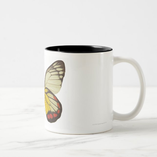 Caneca De Café Em Dois Tons Fim-acima de uma borboleta 3 (Direita)