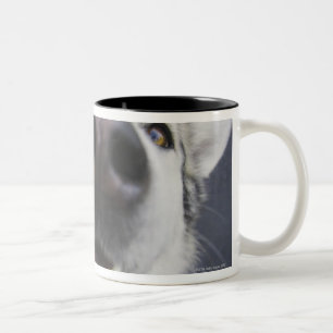 Caneca De Café Em Dois Tons Fim-acima do nariz do rouco
