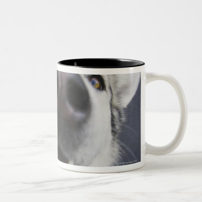 Caneca De Café Em Dois Tons Fim-acima do nariz do rouco (Direita)