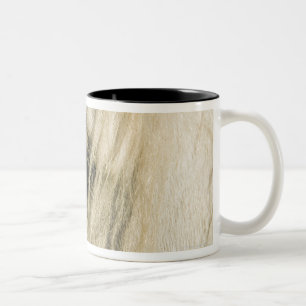 Caneca De Café Em Dois Tons Fim-acima do olho do cavalo