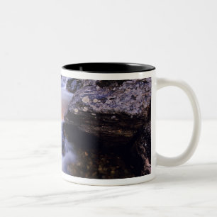 Caneca De Café Em Dois Tons Fish Creek Falls perto de Steamboat Springs Colora