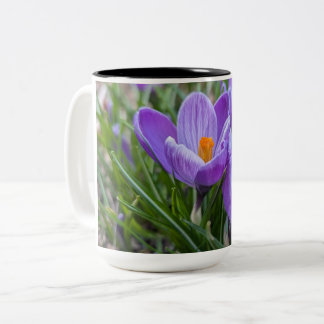 Caneca De Café Em Dois Tons Flor de Crocus Roxa