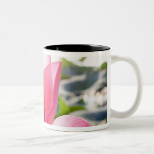 Caneca De Café Em Dois Tons Flor de lótus [Nelumbo speciosum] em cheio
