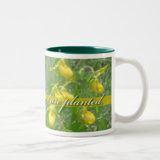 Caneca De Café Em Dois Tons Flor onde você é plantado, Ladyslipper amarelo