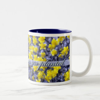 Caneca De Café Em Dois Tons Flor onde você é plantado, Wildflowers amarelos