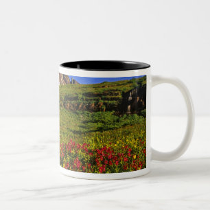 Caneca De Café Em Dois Tons Flores alpinas na passagem Logan em Glacier