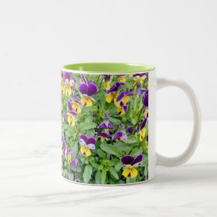 Caneca De Café Em Dois Tons Flores da viola no primavera