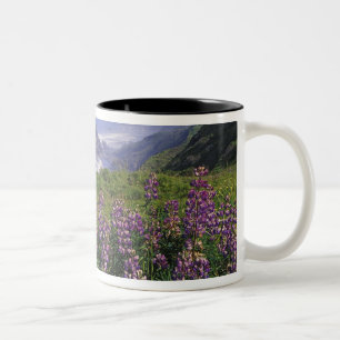 Caneca De Café Em Dois Tons Flores de lupino e costa acidentada ao longo