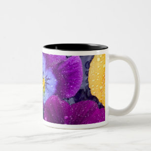 Caneca De Café Em Dois Tons Flores pansas flutuando em banho de pássaros com 