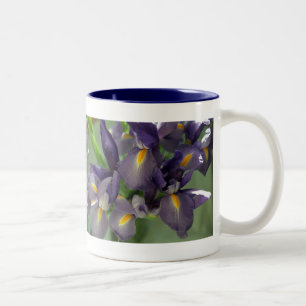 Caneca De Café Em Dois Tons Flores Roxas Iris Foto Arte Café