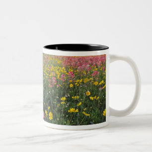 Caneca De Café Em Dois Tons Flores selvagens na estrada no Texas, primavera