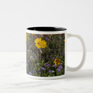 Caneca De Café Em Dois Tons Flores silvestres à beira da estrada no Texas, pri