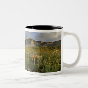 Caneca De Café Em Dois Tons Flores Silvestres da Pradaria no Many Glacier Vall