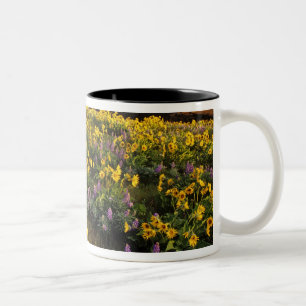 Caneca De Café Em Dois Tons Flores silvestres de primavera em abundância no To