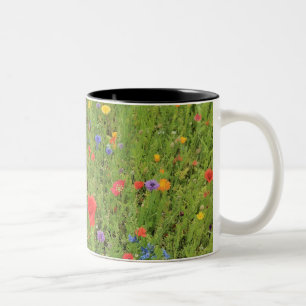 Caneca De Café Em Dois Tons Flores silvestres Primavera Foto de dois tons Mug