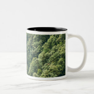 Caneca De Café Em Dois Tons Floresta do Himalaia no vale de Mangdue, Butão