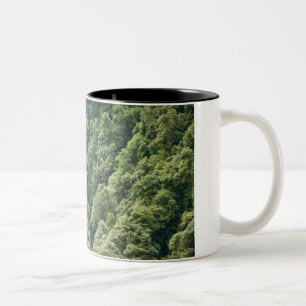 Caneca De Café Em Dois Tons Floresta do Himalaia no vale de Mangdue, Butão