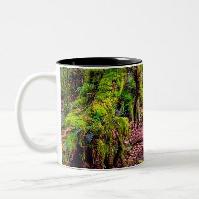 Caneca De Café Em Dois Tons Floresta Musgosa (Esquerda)