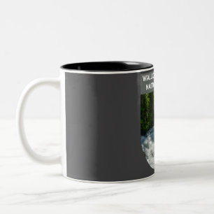 Caneca De Café Em Dois Tons Floresta Nacional Wallowa-Whitman - Nova Hampshire