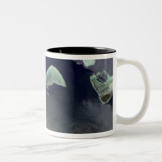 Caneca De Café Em Dois Tons Floresta verde profunda em terra (Direita)
