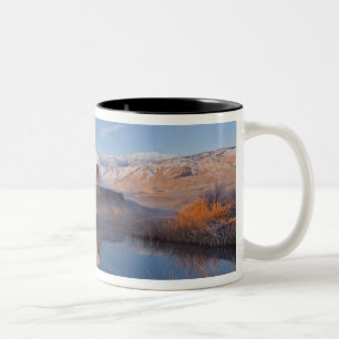 Caneca De Café Em Dois Tons Fly Geyser com Granite Range de cumes nevados