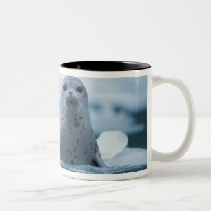 Caneca De Café Em Dois Tons foca-comum-do-pacífico, Phoca vitulina richardsi