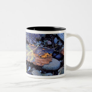 Caneca De Café Em Dois Tons Folha de choupo de Fremont na planície de inundaçã