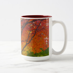 Caneca De Café Em Dois Tons Folhas de outono de Foto Amarelo e Laranja