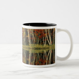 Caneca De Café Em Dois Tons Folhas de Outono e Reflexos de Bétula; Hiawatha