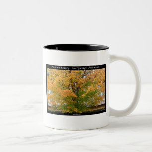 Caneca De Café Em Dois Tons Fonte de Beleza de Outono, Presentes de Roupas do