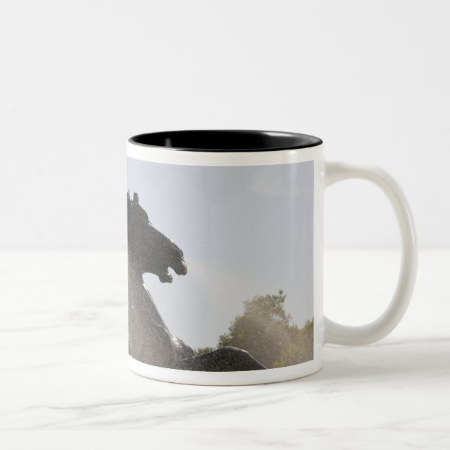 Caneca De Café Em Dois Tons Fonte, Monumento dos Girondinos, Bordéus, (Direita)