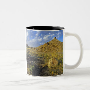 Caneca De Café Em Dois Tons Formações de Badlands no Parque Provincial dos Din