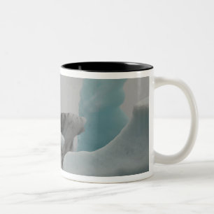 Caneca De Café Em Dois Tons Formações de iceberg
