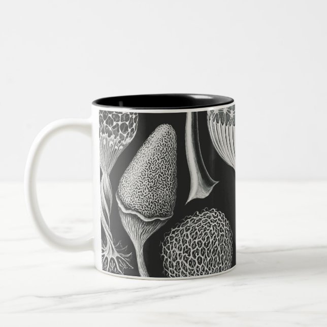 Caneca De Café Em Dois Tons Formas artísticas da natureza (Esquerda)