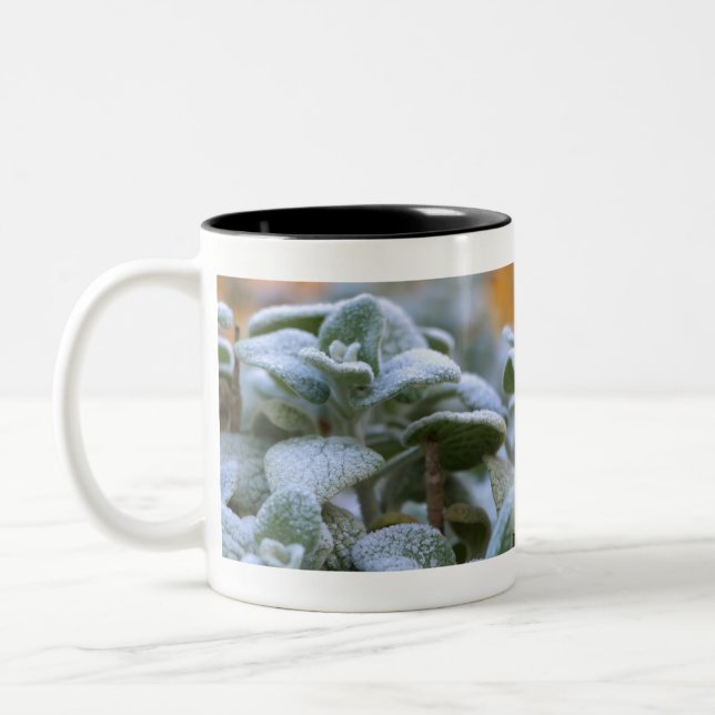 Caneca De Café Em Dois Tons Fosco num jardim (Esquerda)