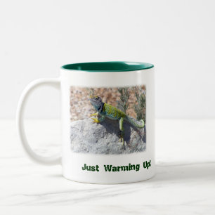 Caneca De Café Em Dois Tons Foto Collared Lizard Collared Colorful (Adoração s