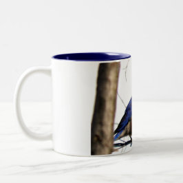 Caneca De Café Em Dois Tons Foto oriental do Bluebird
