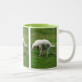 Caneca De Café Em Dois Tons Foto Raras White Raven