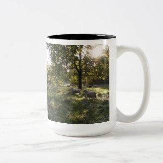 Caneca De Café Em Dois Tons Fotografando Ovinos