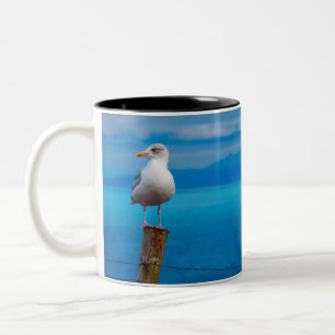 Caneca De Café Em Dois Tons Fotografia de pé-de-gaivota