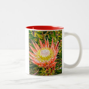 Caneca De Café Em Dois Tons Fotografia floral australiana Protea