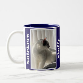 Caneca De Café Em Dois Tons Fotos e Nomes de Animais de Estimação em Azul Mari