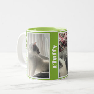 Caneca De Café Em Dois Tons Fotos e Nomes de Animais de Estimação em Verde Lim