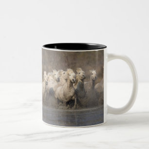 Caneca De Café Em Dois Tons França, Provença. Cavalos brancos Camargue corrend