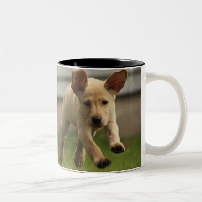 Caneca De Café Em Dois Tons Funcionamento amarelo dos filhotes de cachorro de (Direita)