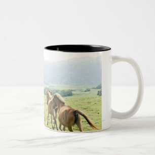 Caneca De Café Em Dois Tons Funcionamento dos cavalos