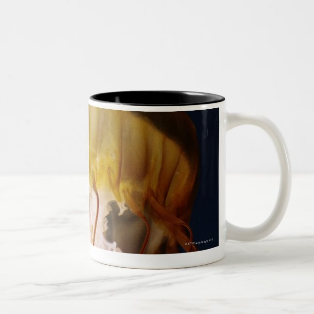 Caneca De Café Em Dois Tons Fuscescens do Chrysaora, provocação pacífica do (Direita)
