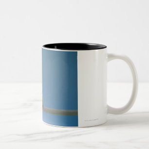 Caneca De Café Em Dois Tons Galinha solitária do animal de estimação do bebê