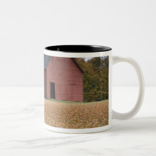 Caneca De Café Em Dois Tons Gângue de pneu ao longo de uma estrada no sul de V